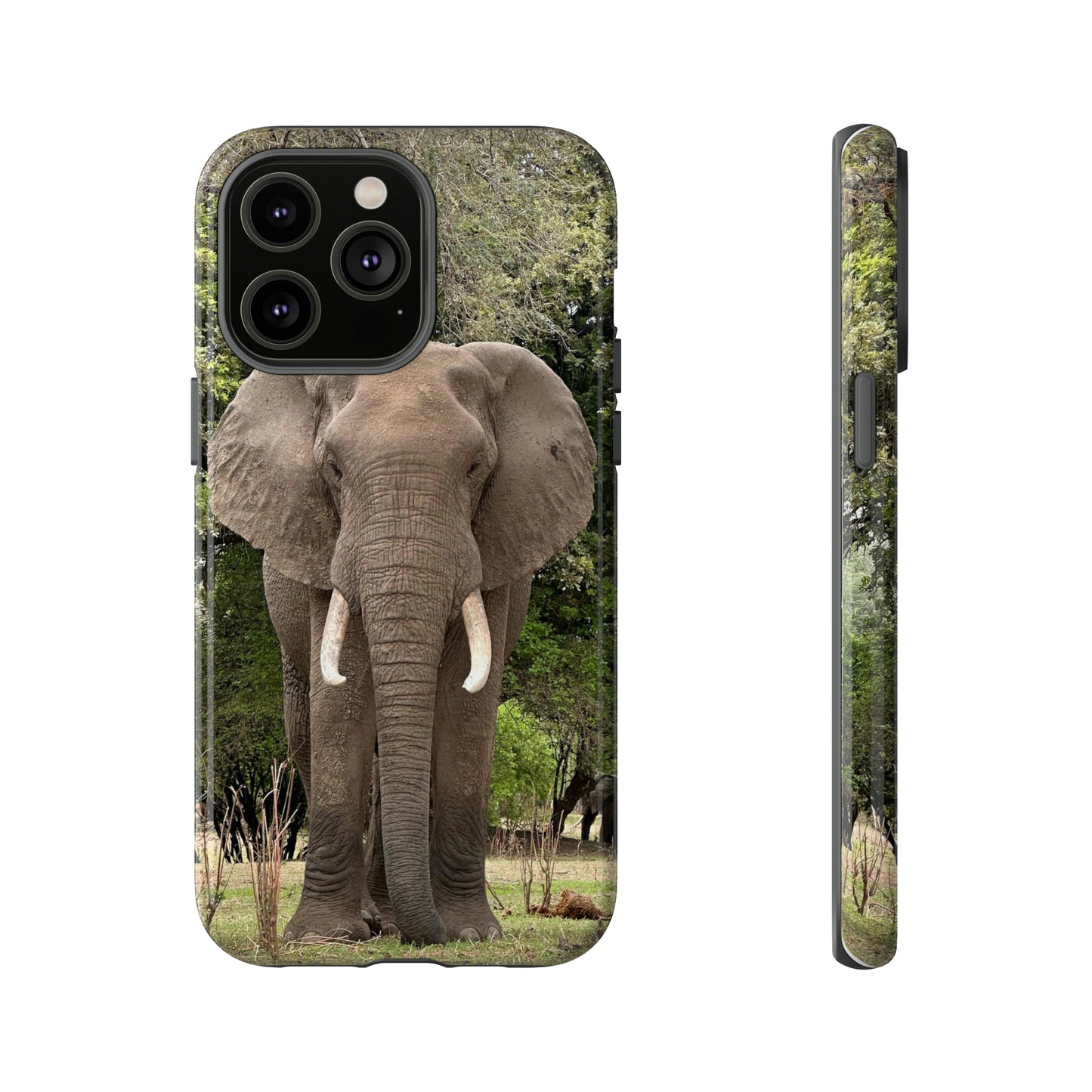 Elephant Case