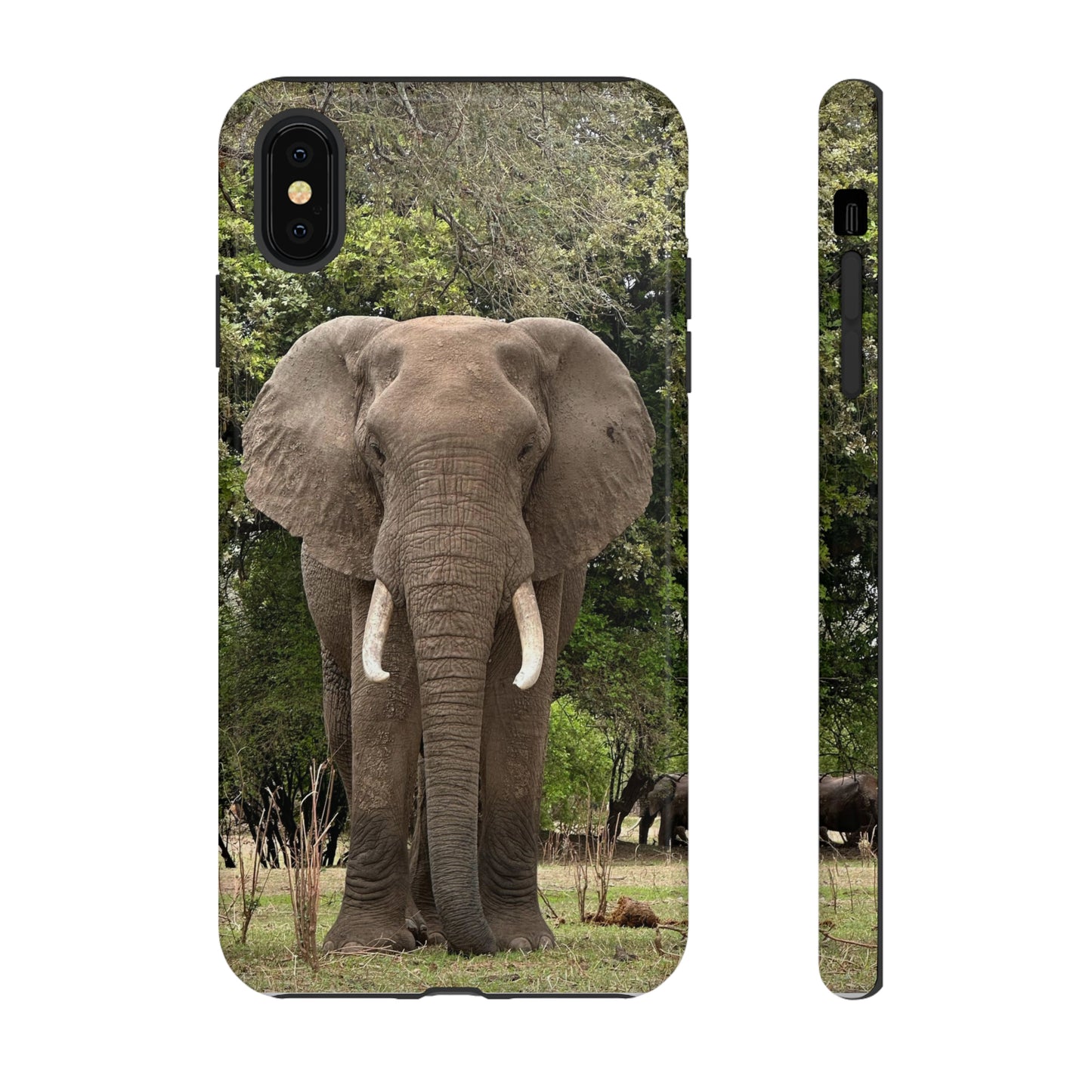 Elephant Case
