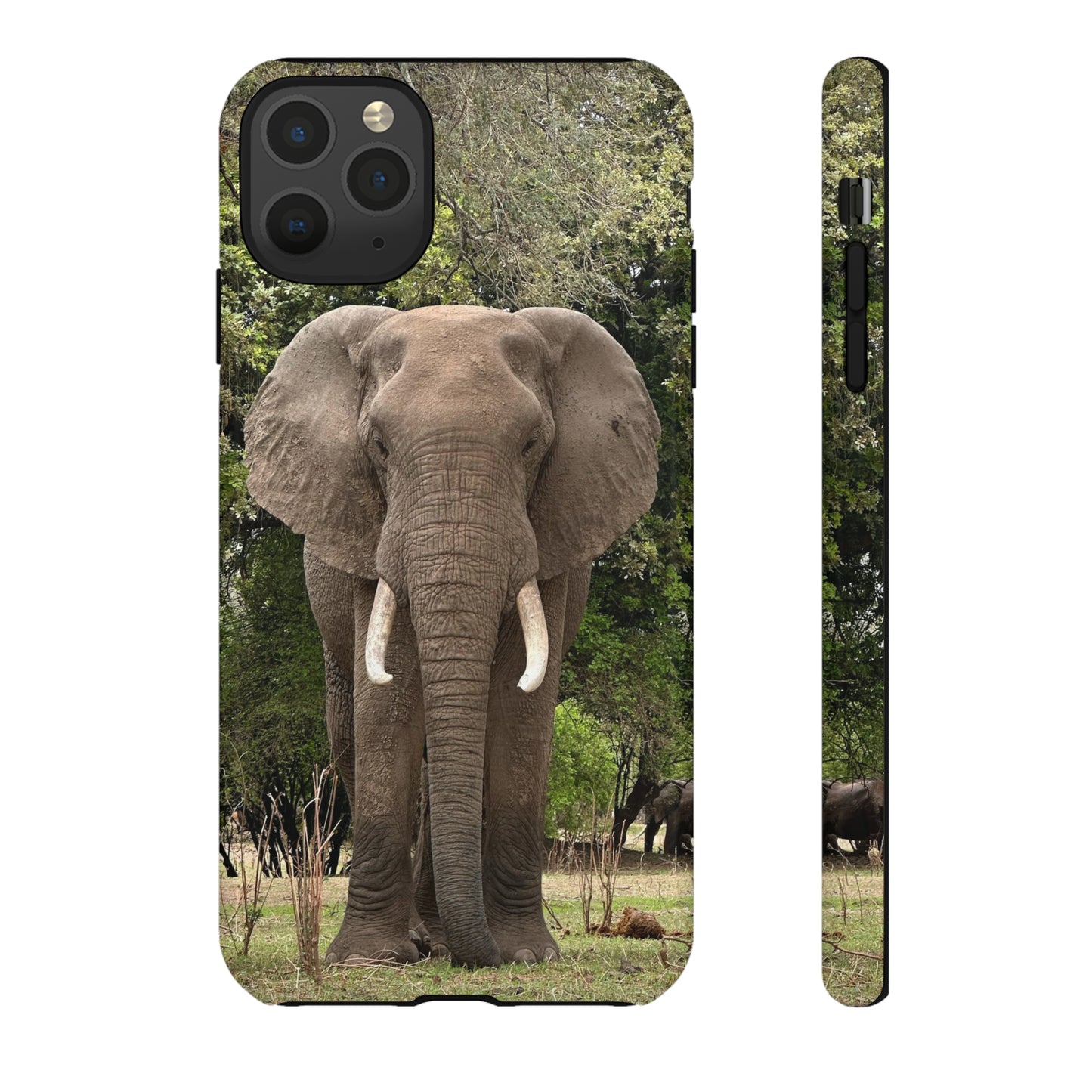 Elephant Case