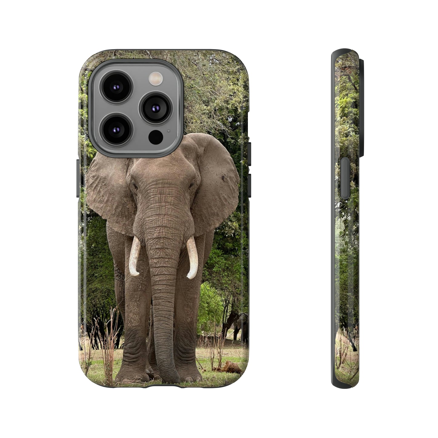 Elephant Case