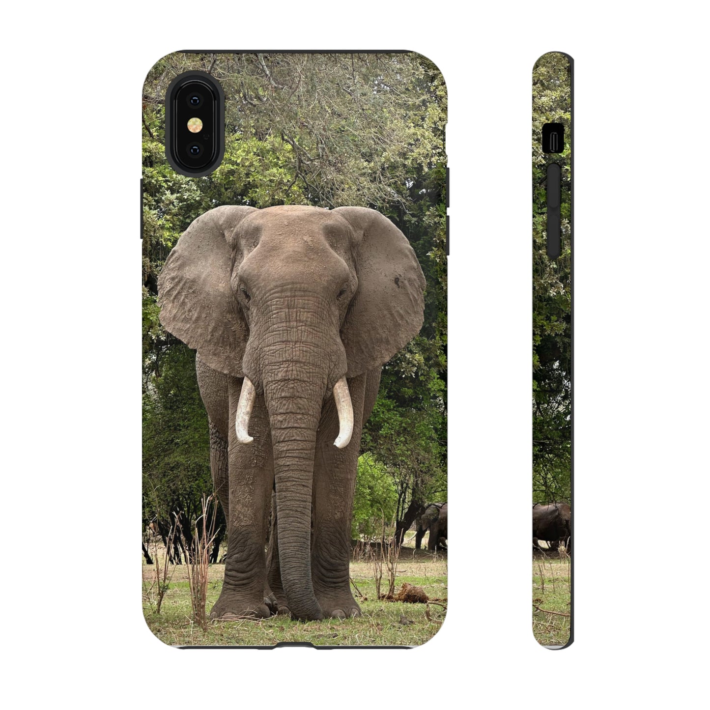 Elephant Case