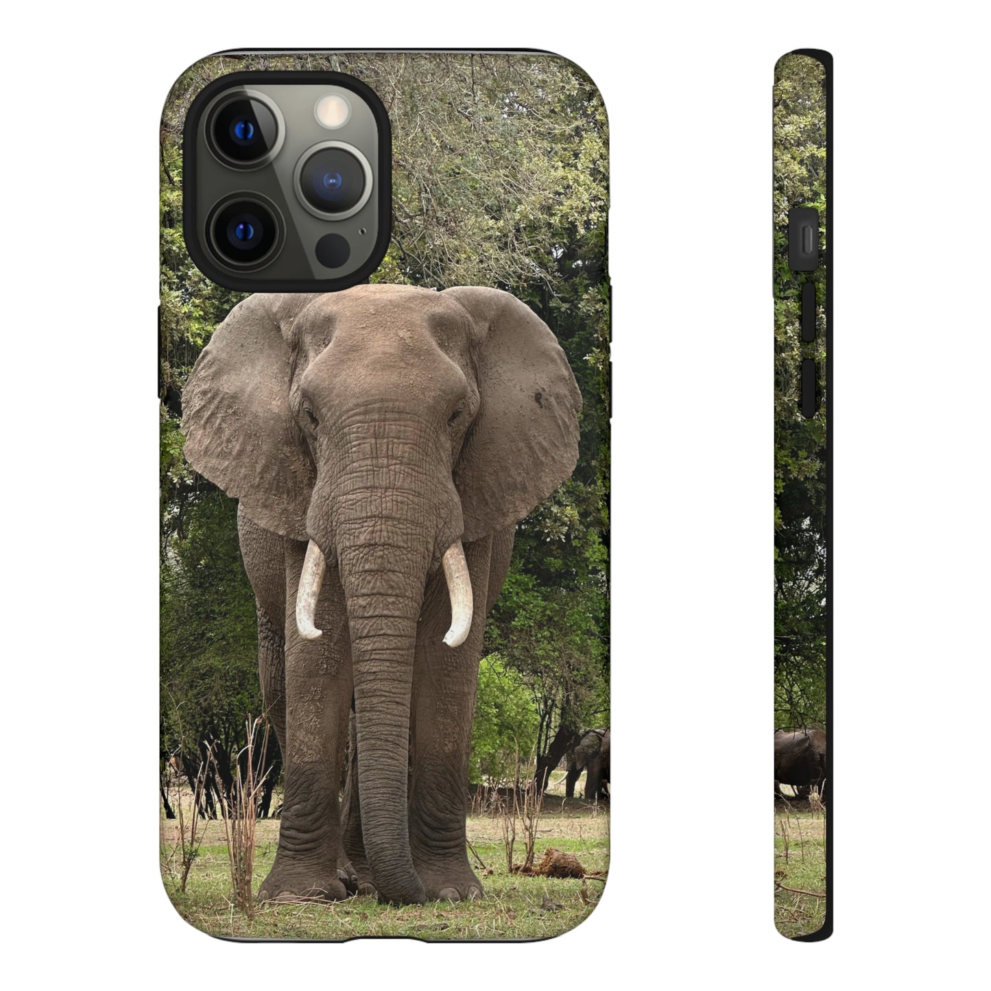 Elephant Case